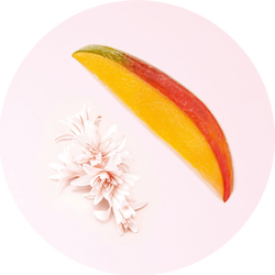 A colorful slice of mango placed beside delicate pink flowers, set against a light pink background.