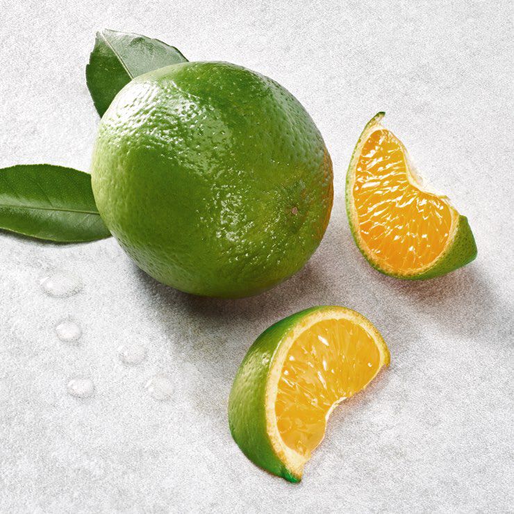 A whole green lime with two slices, one cut in half, rests on a light gray surface, surrounded by green leaves.