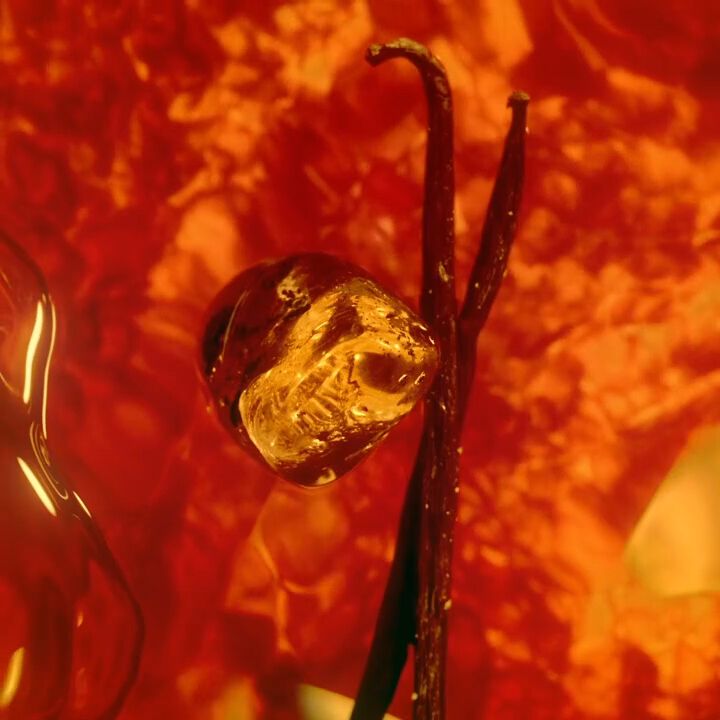 A golden liquid swirls around a dark vanilla bean and a clear solid against a vibrant red-orange background. The liquid's movement creates dynamic ripples, highlighting the textures of the objects within this warm, inviting scene.