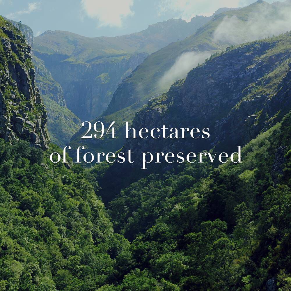 A lush green valley surrounded by mountains, showcasing the beauty of nature, with text overlay stating "294 hectares of forest preserved."