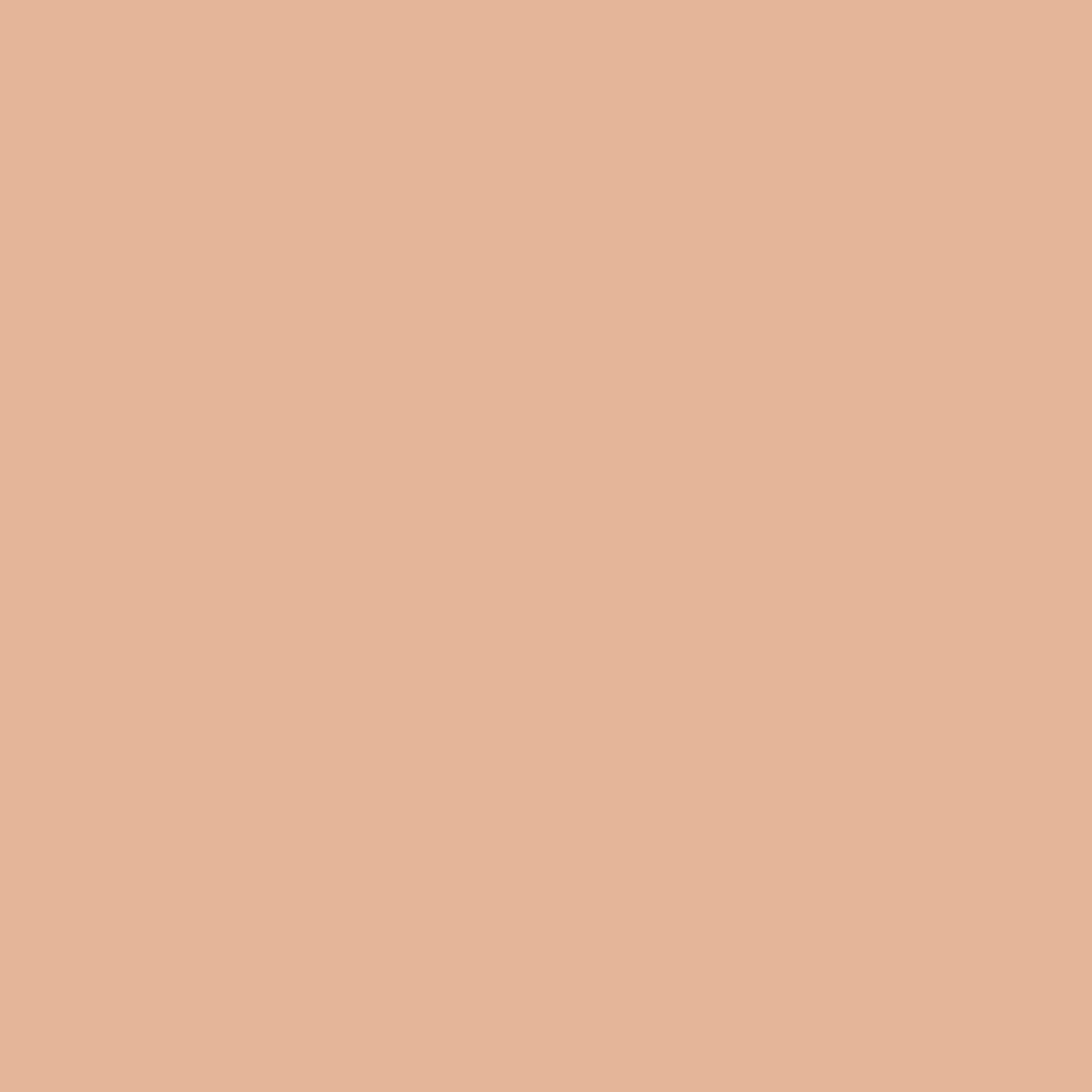 Luminous Silk Glow Concealer