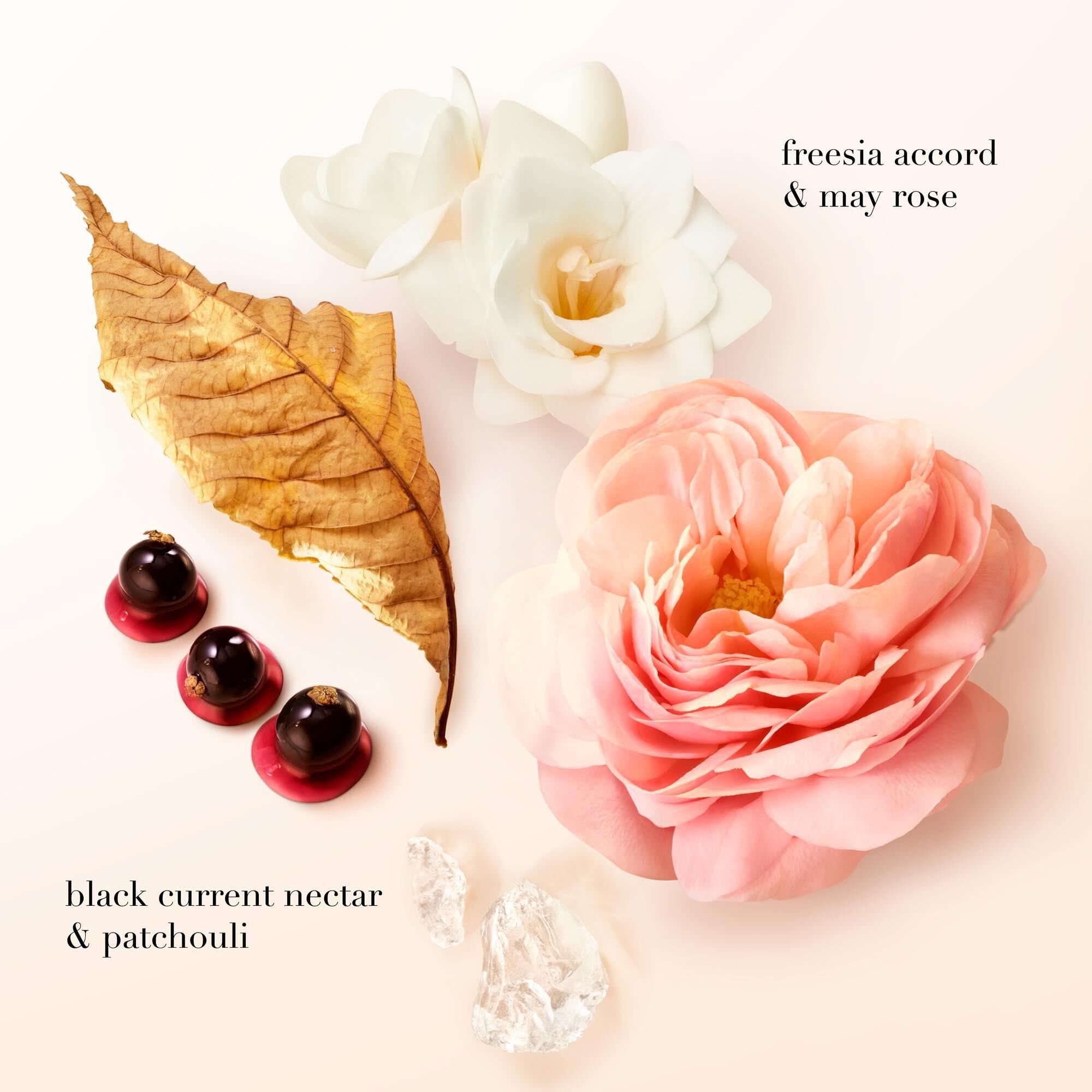 SI EAU DE PARFUM 50ML GESCHENKSET