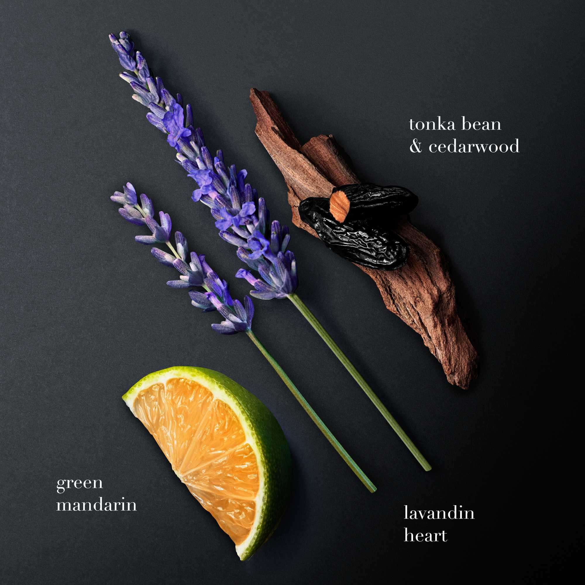 Eine flache Anordnung auf dunklem Hintergrund zeigt drei wichtige Duftbestandteile: grune Mandarine, violetten Lavandin (Lavendel) und Zedernholz mit glanzenden schwarzen Tonkabohnen. Jedes Element ist beschriftet: "grune Mandarine", "Lavandin-Herz" und "Tonkabohne & Zedernholz".