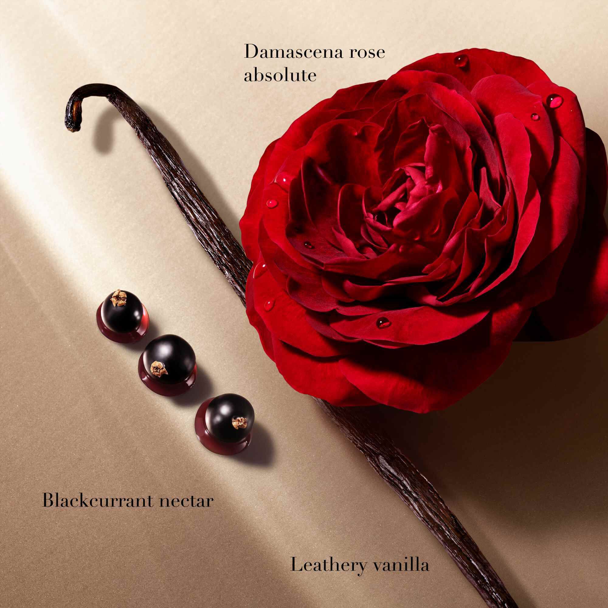 Damascena rose, vanilla bean, and blackcurrants labeled as fragrance notes on a beige background.