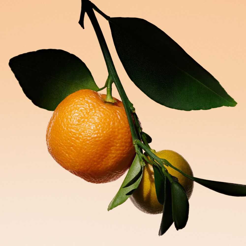 Armani/Prive ORANGE MEDITERRANEE