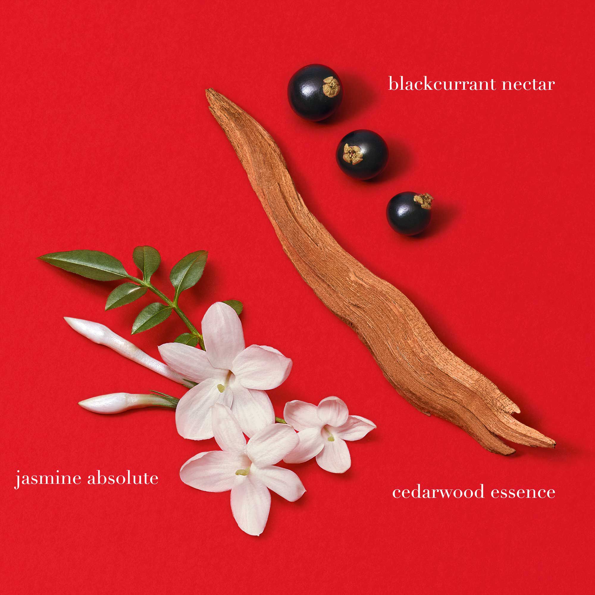 Si Passione Eau de Parfum - Nachfullbare