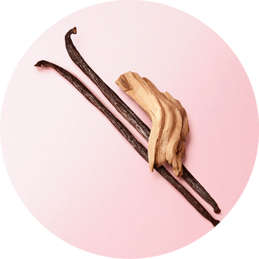 Zwei Vanilleschoten und ein Stück Vanilleholz auf einem rosa Hintergrund arrangiert.