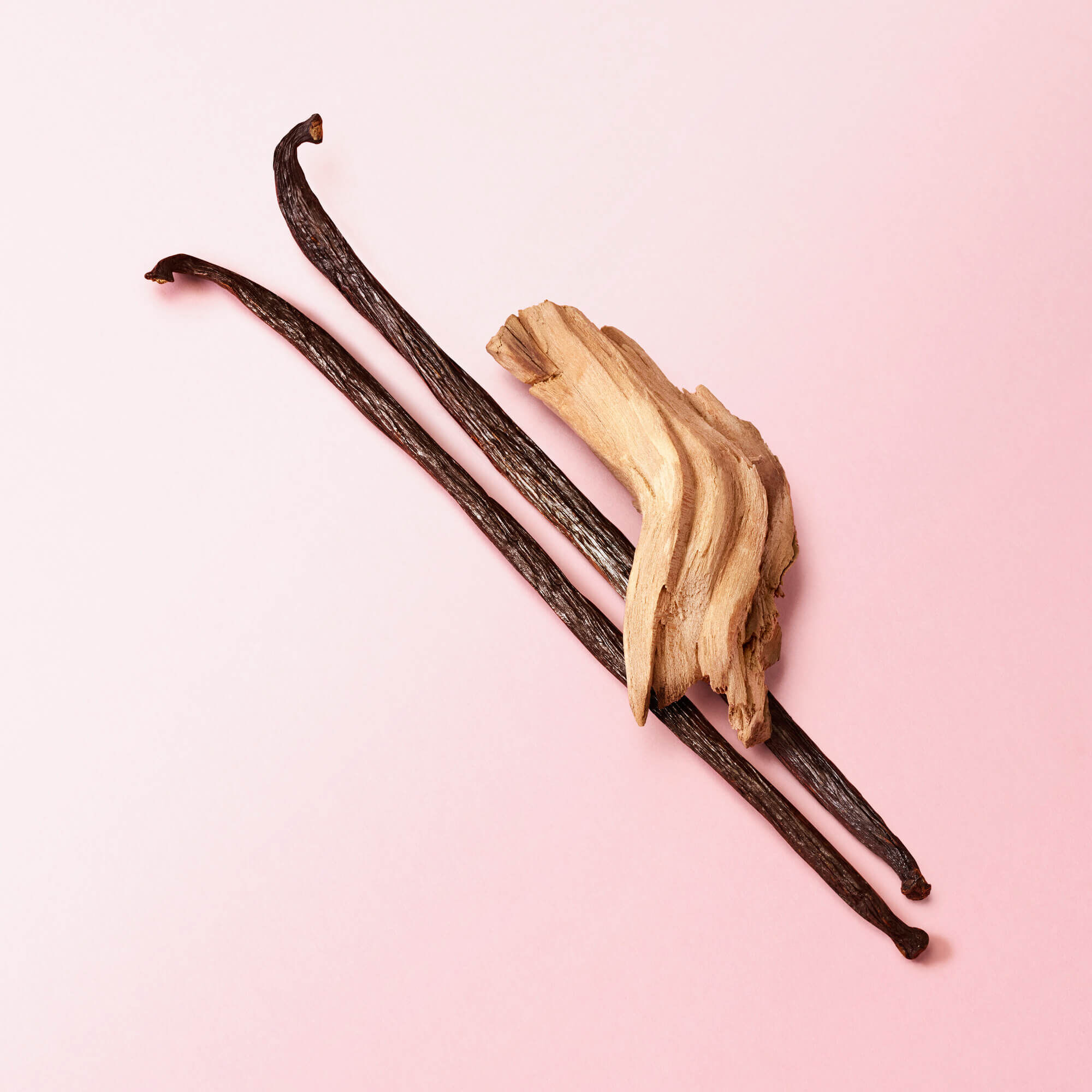 Zwei vanilleschoten und ein Stück Vanilleholz auf einem rosa Hintergrund arrangiert.
